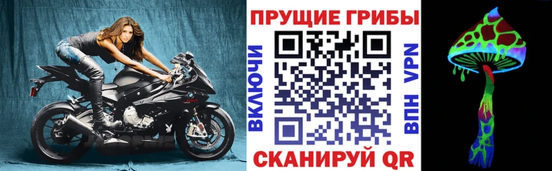 продажа наркотиков  маркетплейс формула  Галлюциногенные грибы GOLDEN TEACHER  Кочубеевское 